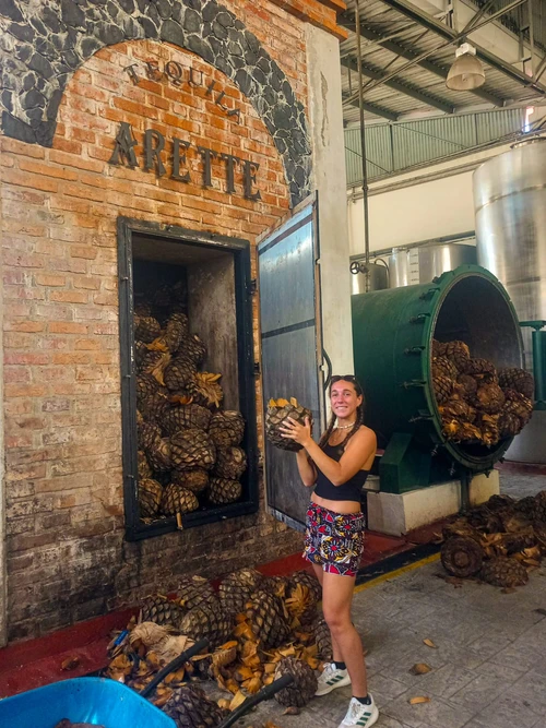 Tequila Factory and Cantaritos el Güero Tour - Tasting all day tour
