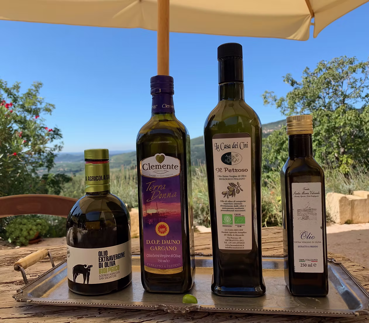 The Olive Adventure