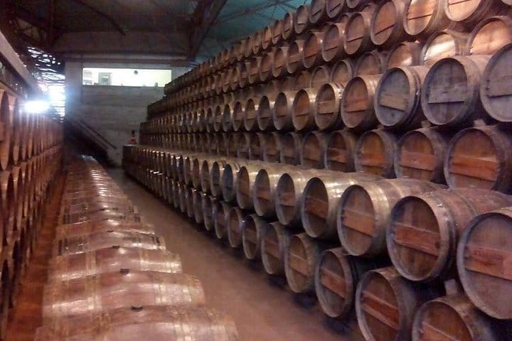 Full Day Private Wine Tour in Arrabida
