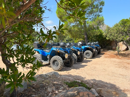 Quad Tour Monte Nieddu: Dive into the Natural Pools of Rio Pitrisconi + Sardinian Aperitif