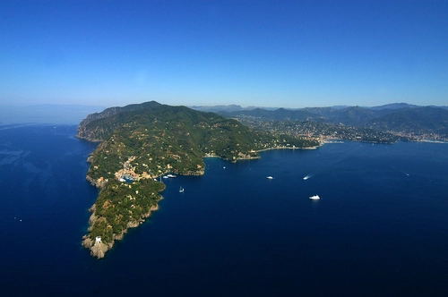 Naturalistic Snorkeling by Boat in the Portofino Marine Protected Area