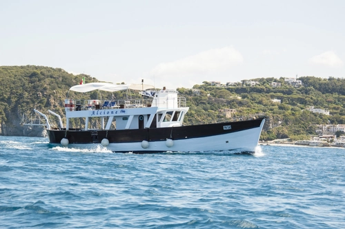 Ischia Tour with Luxury Lunch