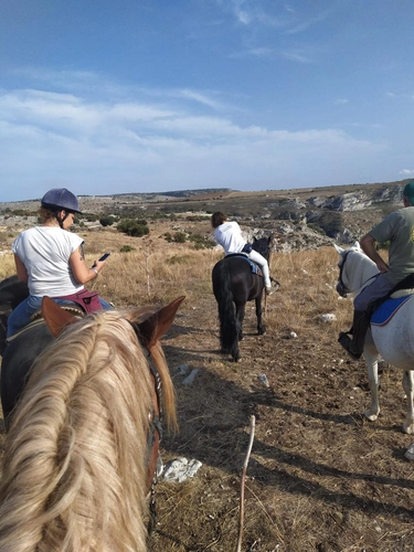 Adventurous Horseback Ride