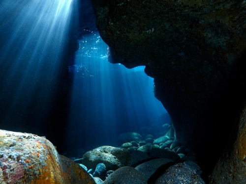 Scuba Experience