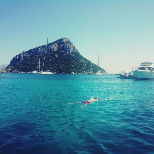 Dolphin Watching Excursion Figarolo Island and Snorkeling - Olbia