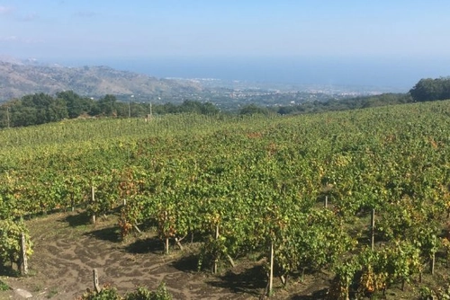 Etna Wine Tour