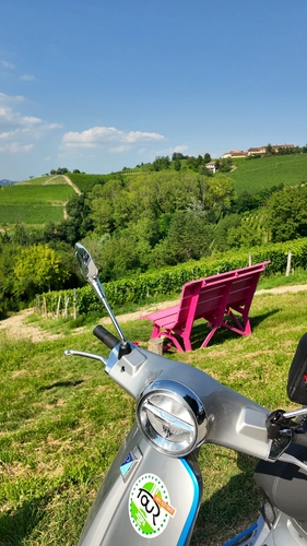 Giant Benches of Langhe: discover all the Big Benches