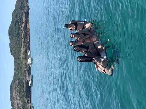 Daily Sailing Excursion