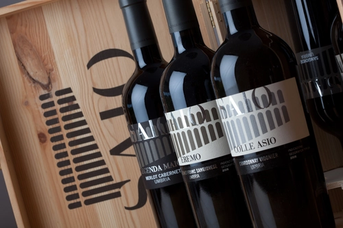 Deluxe Picnic in the Vineyard of Assisi