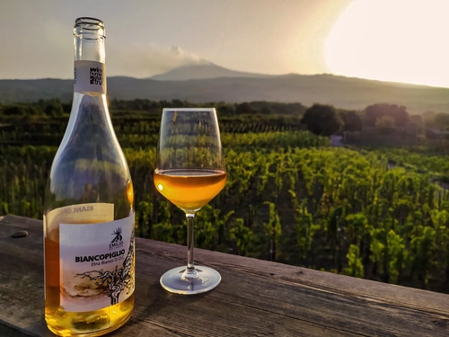 Etna Excursion and Wine Tour with Lunch