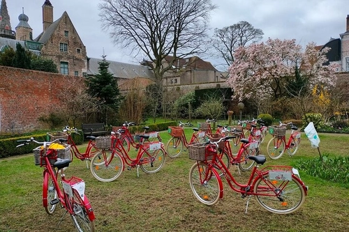 Bruges, Guided Retro Biketour, Highlights and Hidden Gems