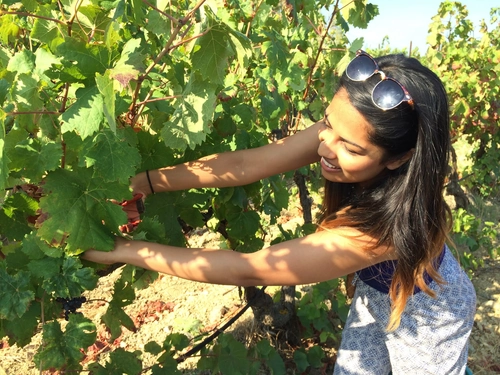 Small group Food & Wine tour Cagliari
