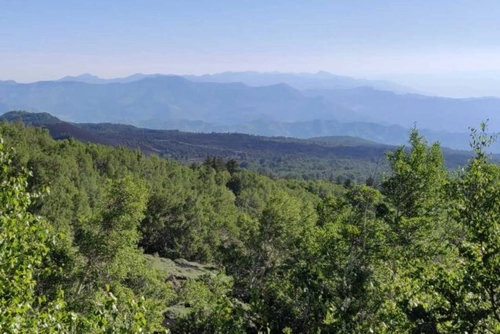 Etna Serracozzo Trail – Lava Flow 1928 – Thieves' Cave