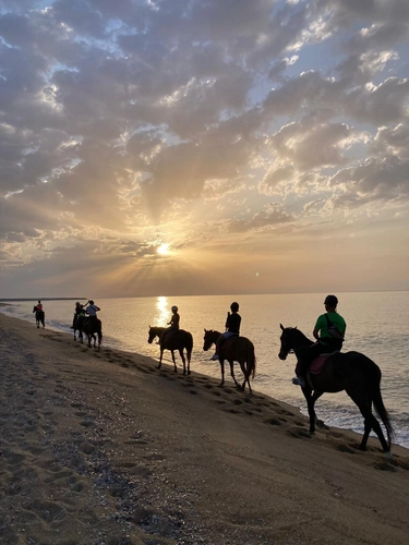 Sunrise on Horseback: Unique Experiences Between Nature and Legend