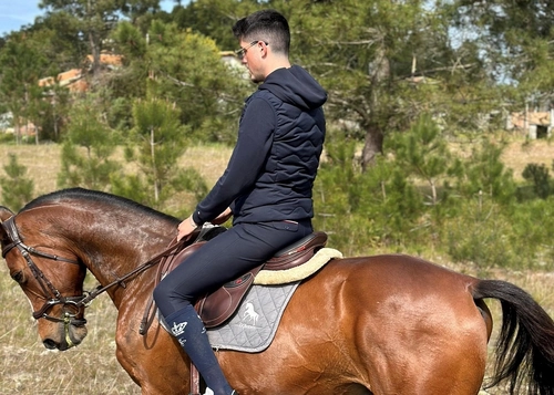 Horse Trip in Florest