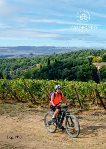 Tenute Baglio Passofondo: A leisurely Bike ride and Tasting