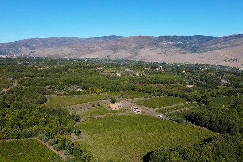 Etna Tour with Wine Tasting