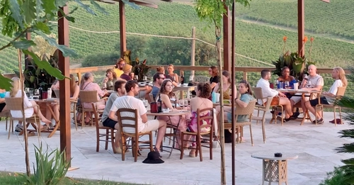 Slow Drink Experience: Wine, Olive Oil & Nature in Tuscany