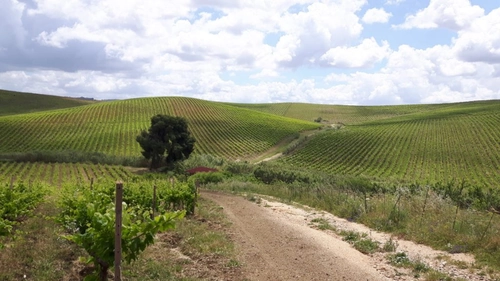 Adventure in the Sicilian Baglio