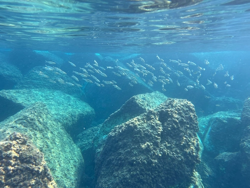 Full-Day Snorkeling Boat Tour with Lunch