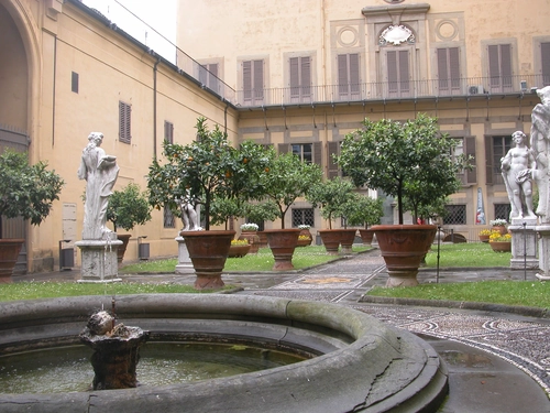 The Medicis small group tour