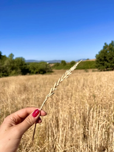 Unique experience in Ciociaria Day Trip