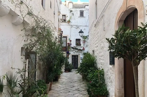 Private VIP Tour of the Main Cities of Bari and Southern Puglia with Lunch