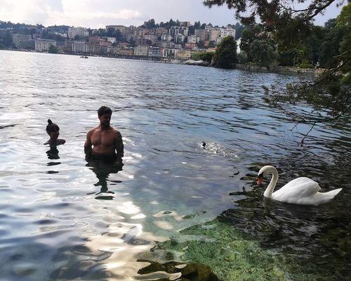 Top rated Como & Lugano Small group tour