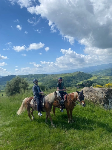 Horse ride and wine tasting