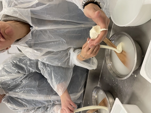 Pisa Mozzarella Making Adventure