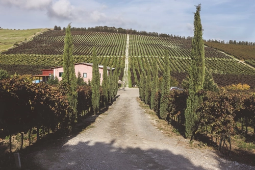 Quad Tour in Winery