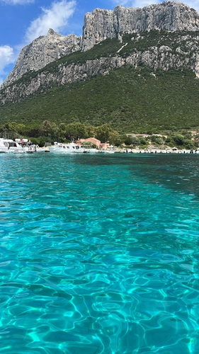 Private Excursion to Tavolara and Molara