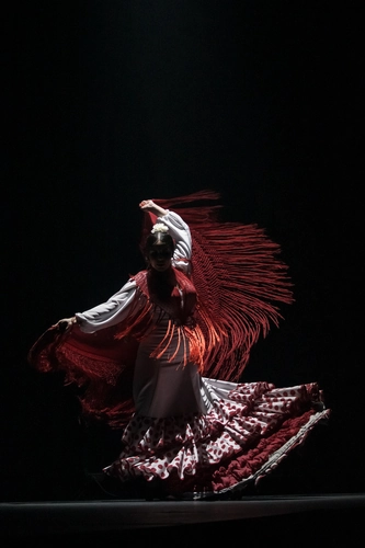 Flamenco Theatre Granada - Show in the heart of the city