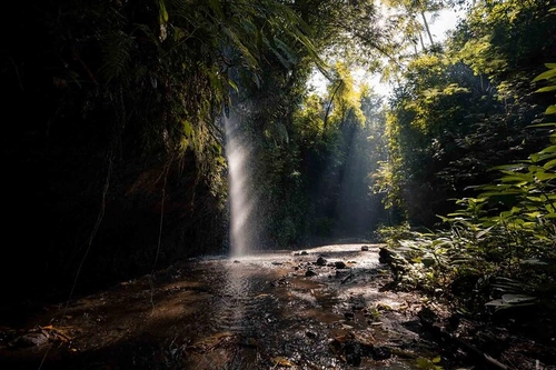 From Bali Sacred Peaks & Hidden Falls