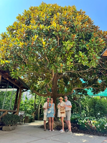 Zi Teresa Sorrento Lemon Tour