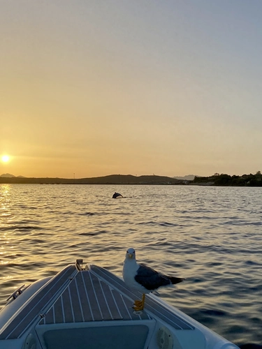Luxury Sunset Tour