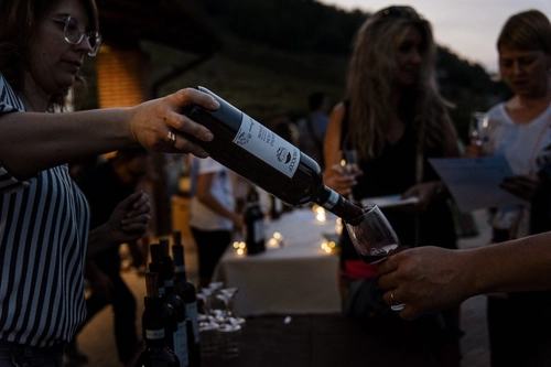 Dinner in the Vineyard in Langhe
