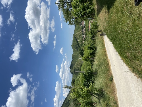 Between Vineyards and Bubbles – Explore the Heart of the Prosecco DOCG Private Tour