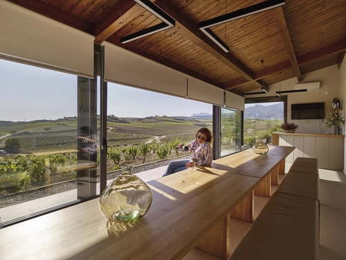Private premium Rioja Wine Journey: 2 wineries and lunch in a medieval fortress.