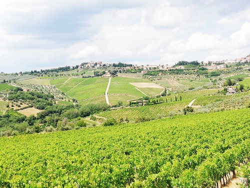 Chianti in Open Top Van
