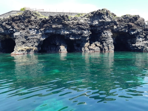 Boat Tour and Snorkeling