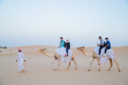 Camel Trekking Morning Desert Experience