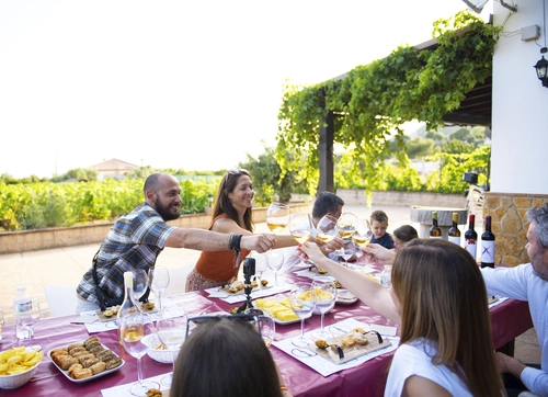 Mijas: Exclusive Vineyard Tour - Organic tasting: 5 Wines + 2 Olive Oils