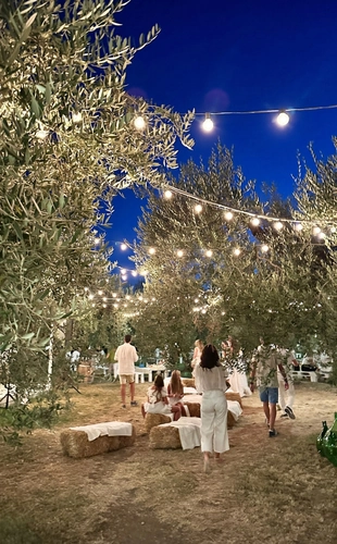 Picnic under the Moonlight