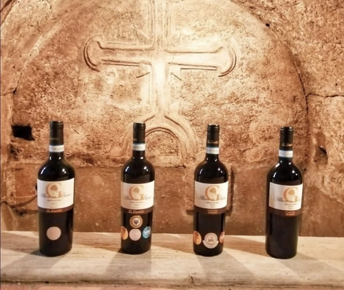 Visit and Tasting🍇