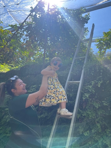 Nonno Mario's Lemon-tastic Tour