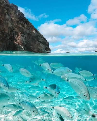 Adventure in Tavolara: Discover the Sea