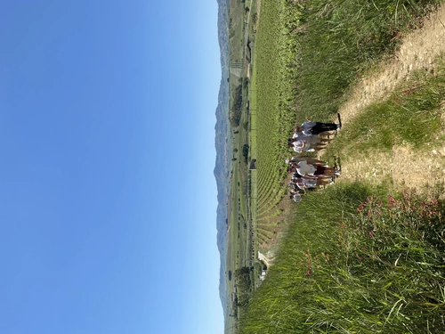 Tenute Baglio Passofondo: A walk in the vineyard