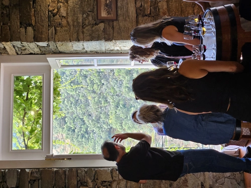 Douro Valley and Green Wine with Tastings, Chef Lunch and Boat