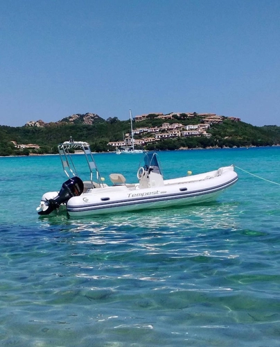 Dolphin Watching and Capo Figari Tour